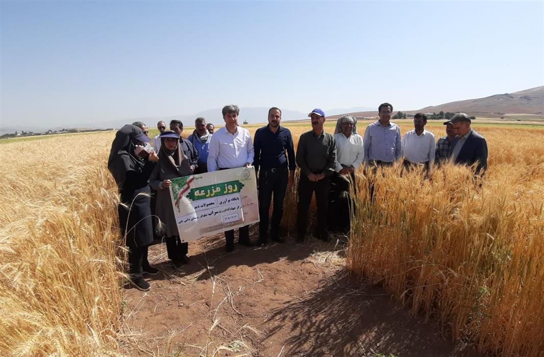برگزاری روز مزرعه در پایگاه نو آوری سراب نیلوفر (روستای دایی چی)